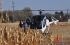 Helicopter Rides at the Twin Cities Harvest Festival