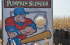 Pumpkin Slinger at the Corn Maze